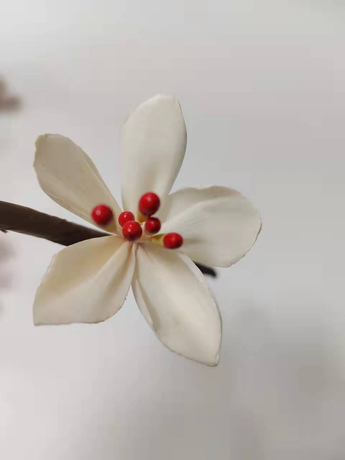Fragrance parfumée diffuseur séché Sola Fleurs pour la fraîcheur d'air