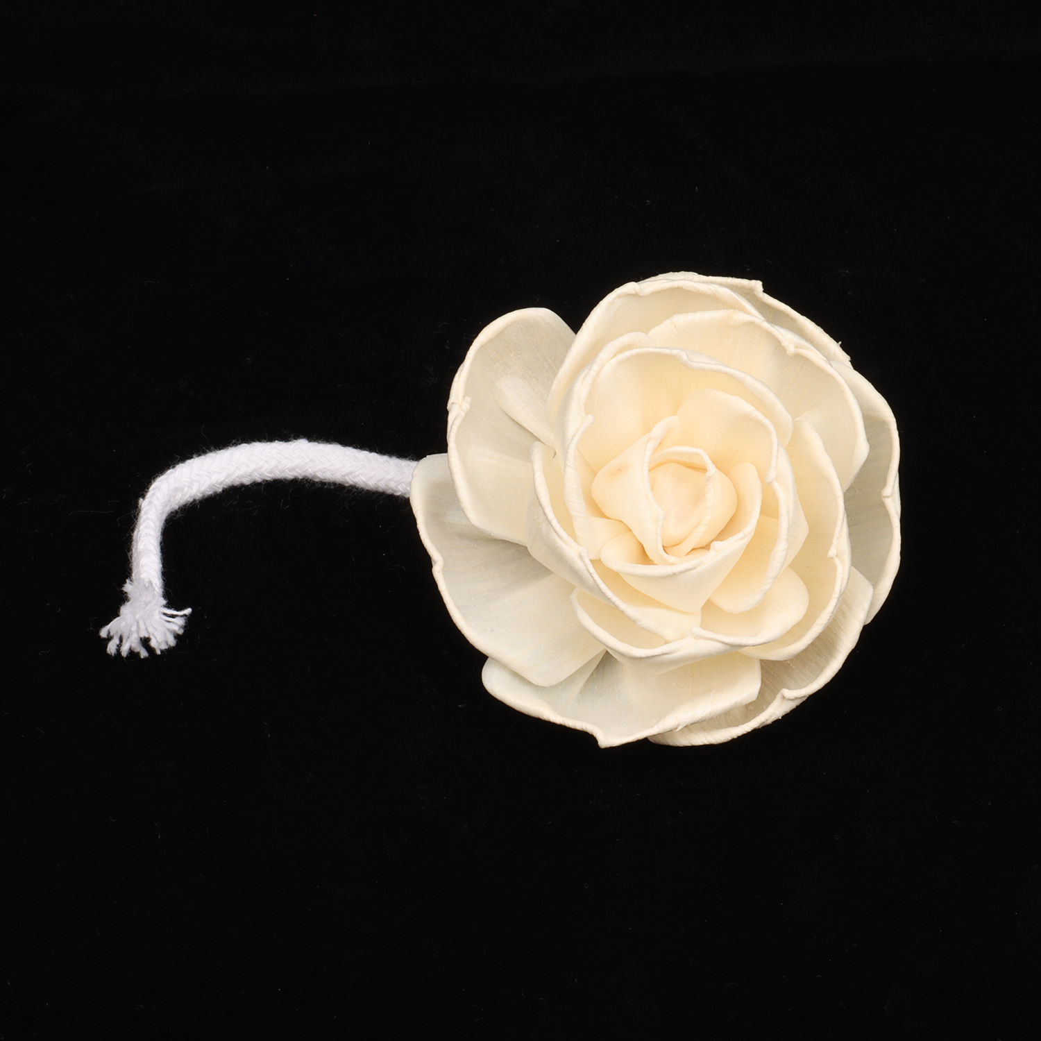 Elégant Rose Diffuseur Sola Fleurs pour la Décoration