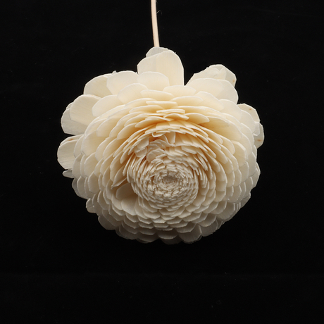 Diffuseur aromathérapie séché Sola Fleurs avec boîtes personnalisées